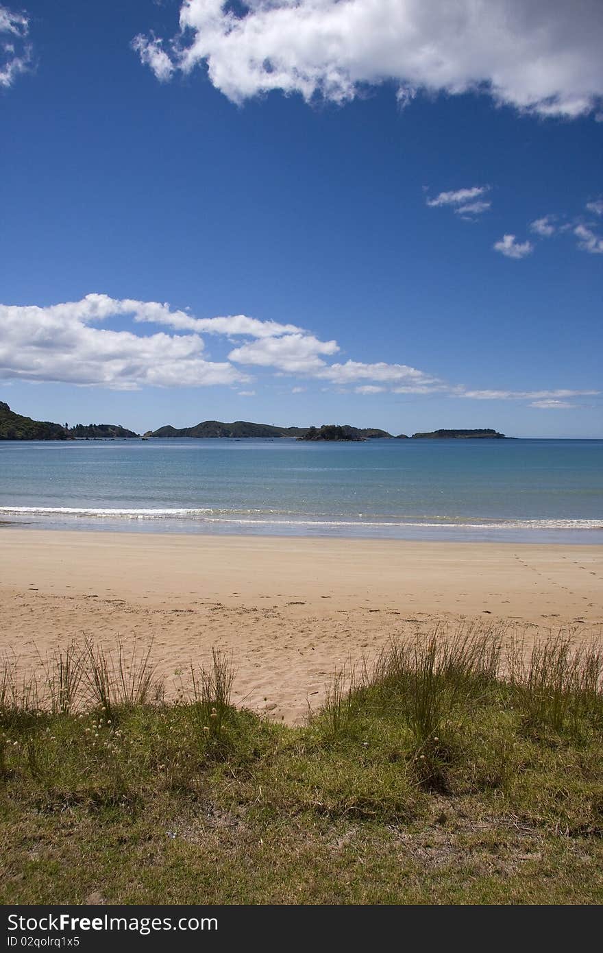 New zealand peaceful summer beach scene. New zealand peaceful summer beach scene