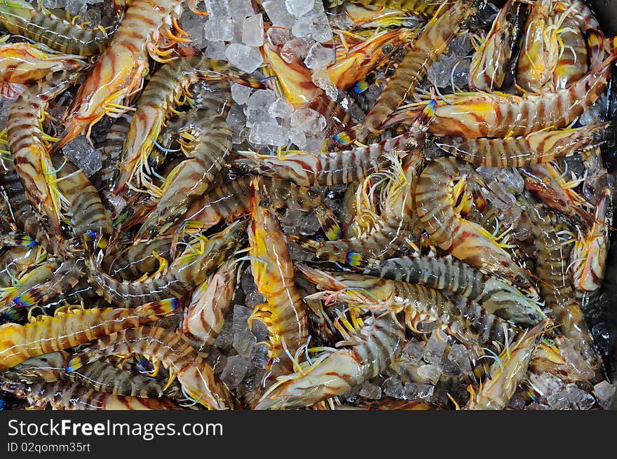 Prawns shrimps at japan fishmonger