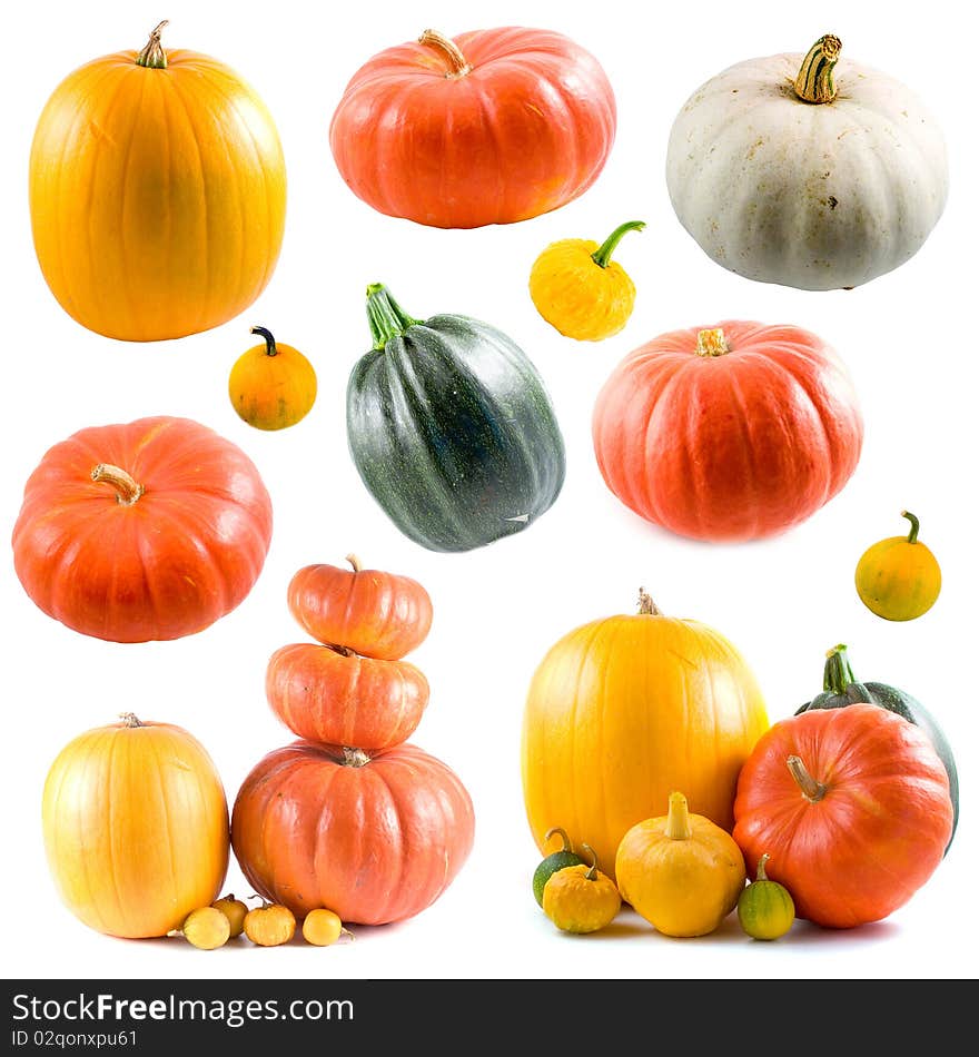 Collection of colorful pumpkins isolated on white background