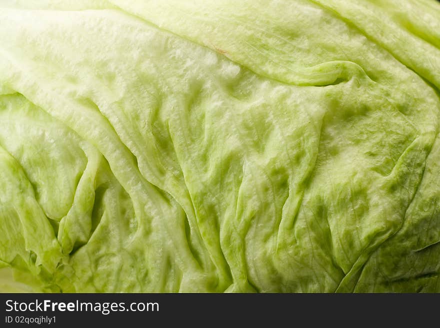 Detail of fresh salad leave