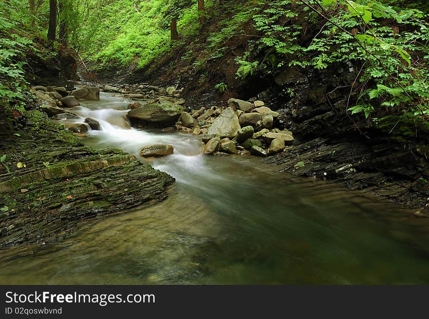 Peaceful view into forest with cascade.