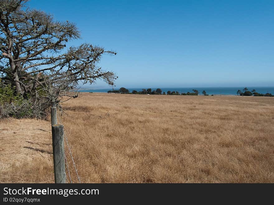 Grassland by the sea