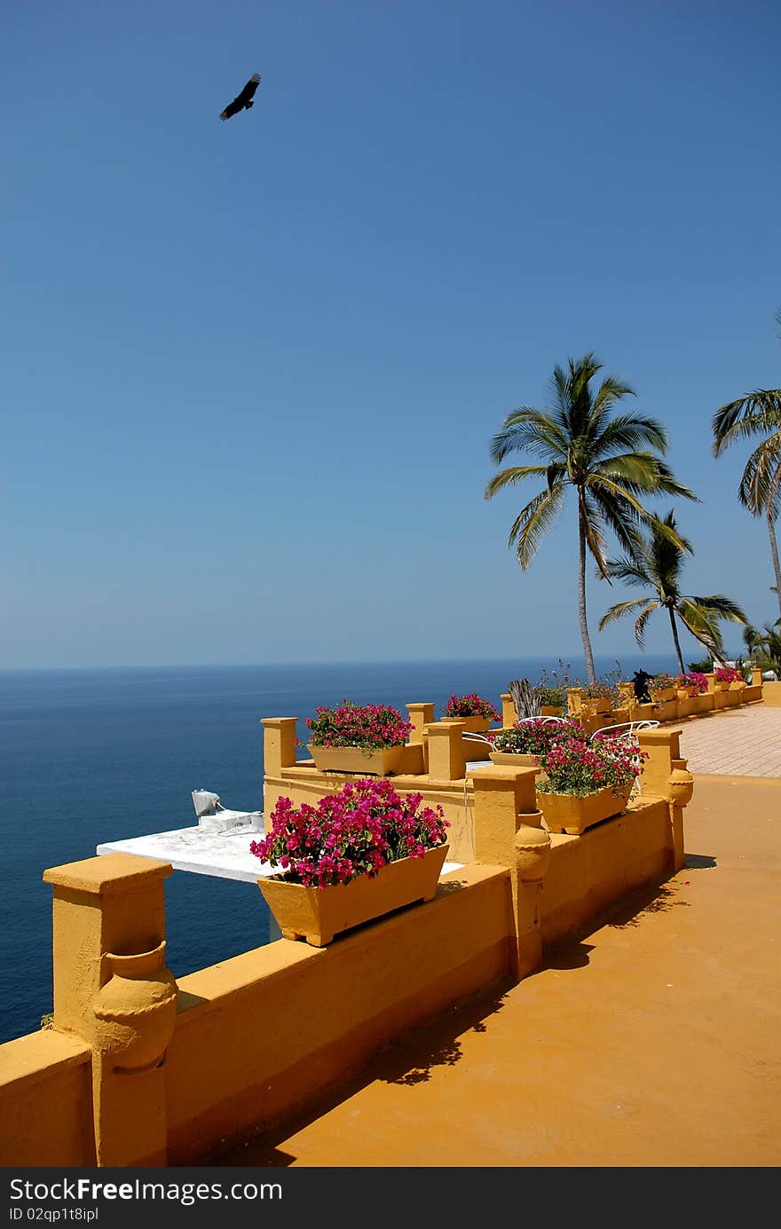 Balcony with a kind on ocean. Balcony with a kind on ocean