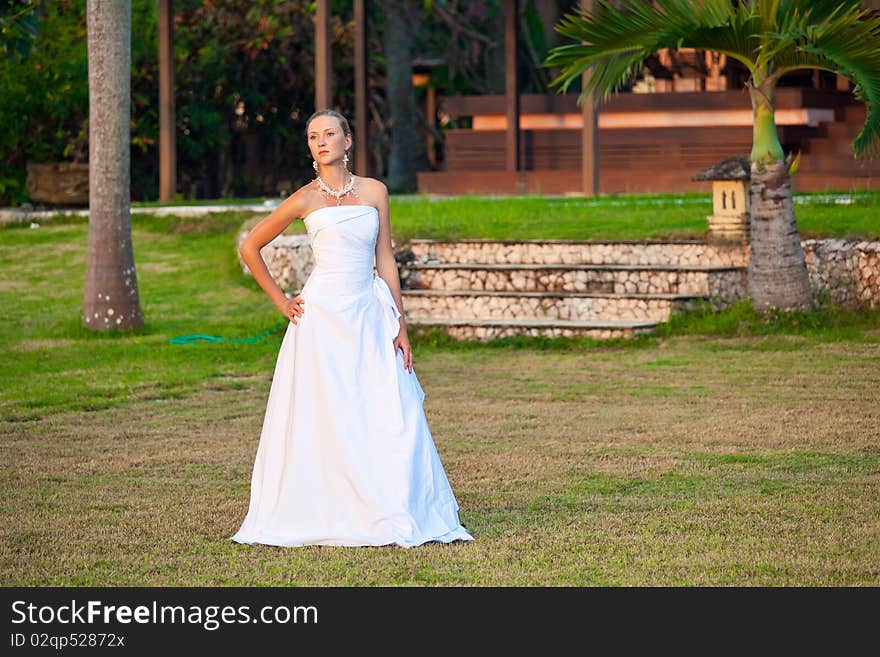 Young Bride In Dress