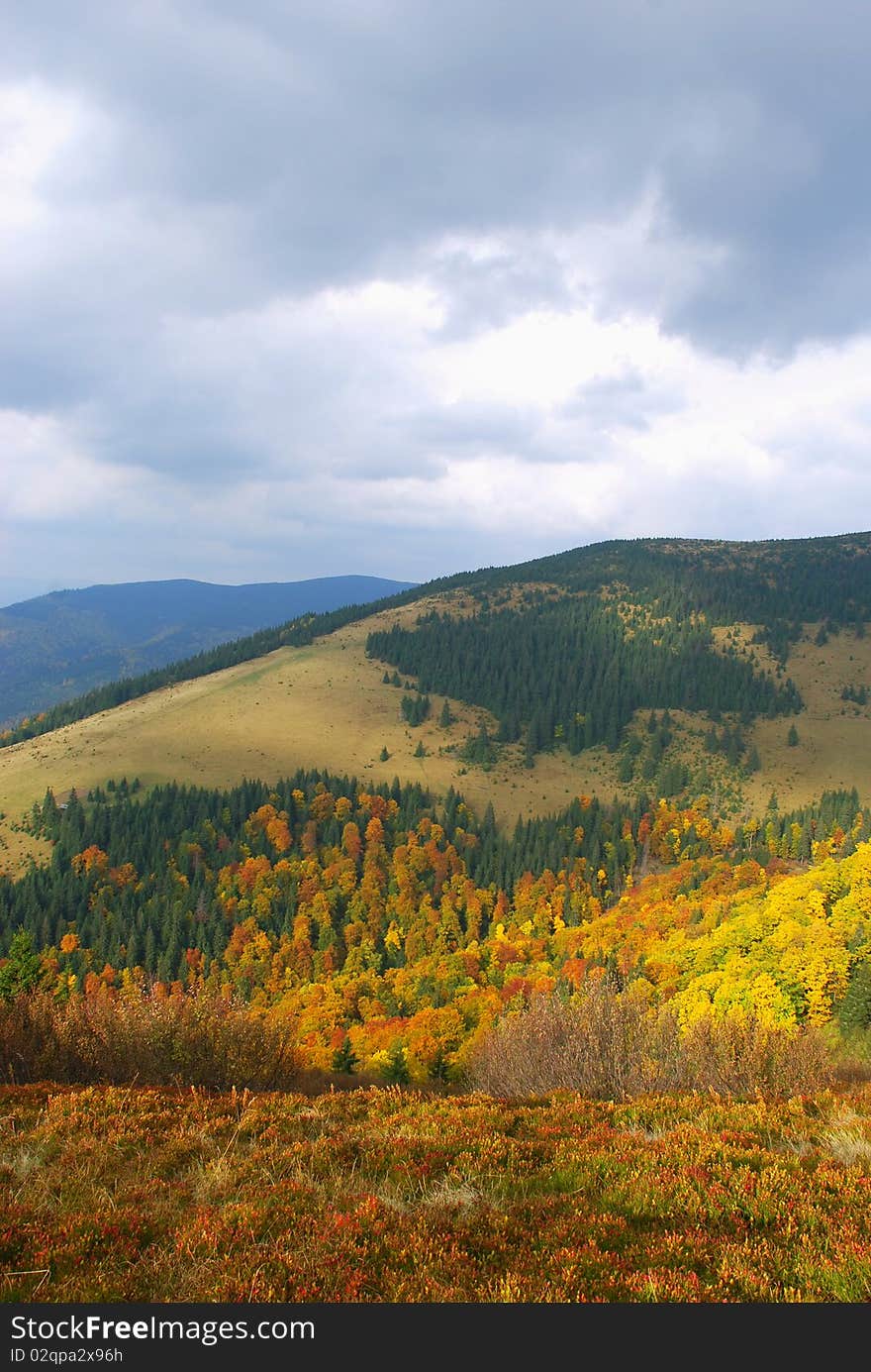 Autumn mountain in a motley landscape with trees of different shades. Autumn mountain in a motley landscape with trees of different shades.