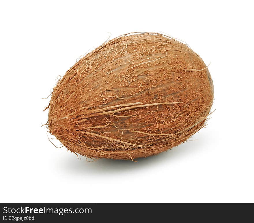 Coconut isolated