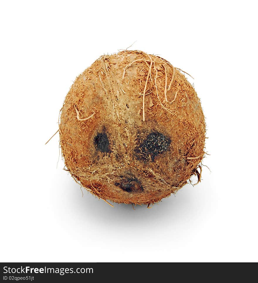 Coconut face