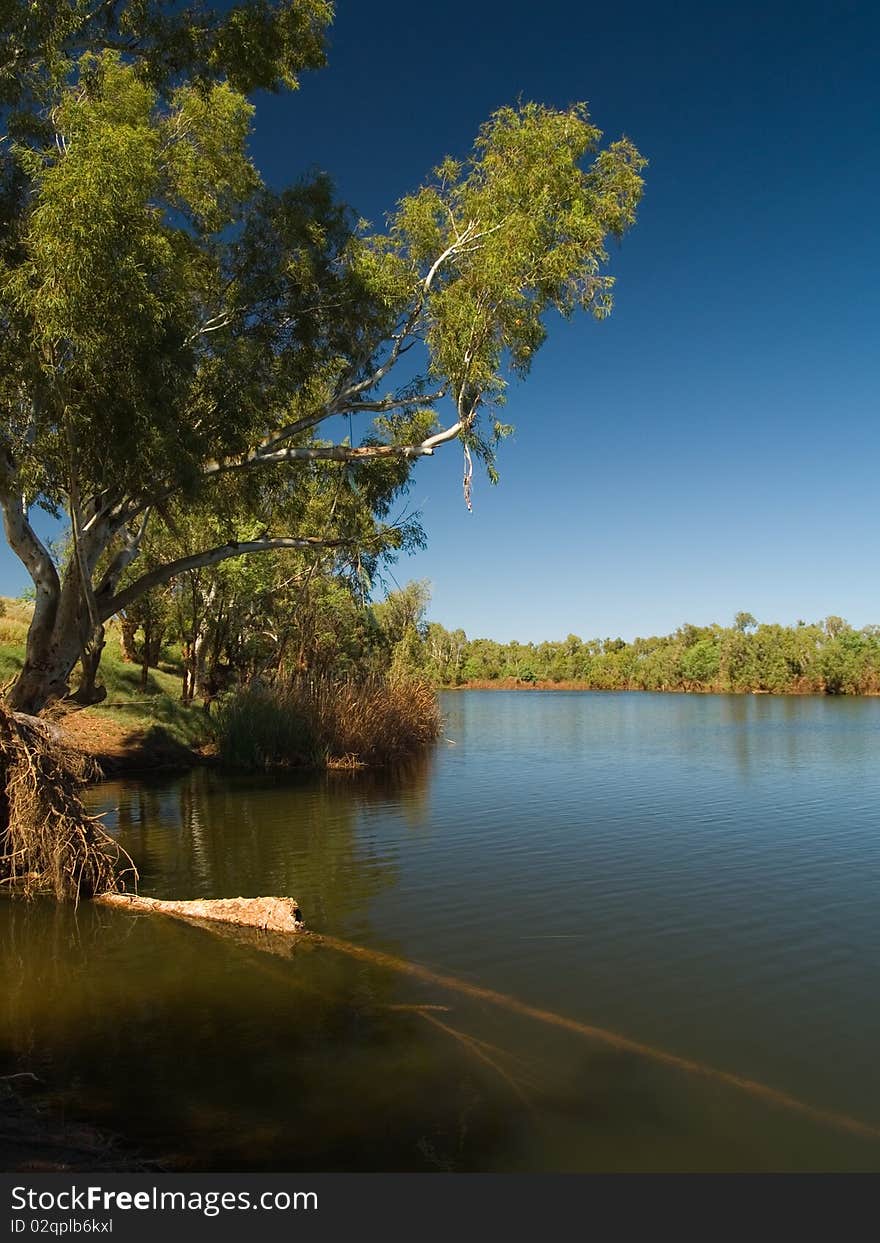 A creek in the north west of Australia. A creek in the north west of Australia