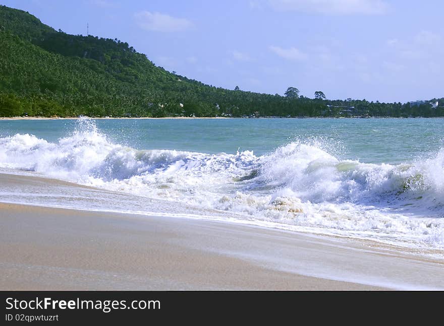 Samui coast