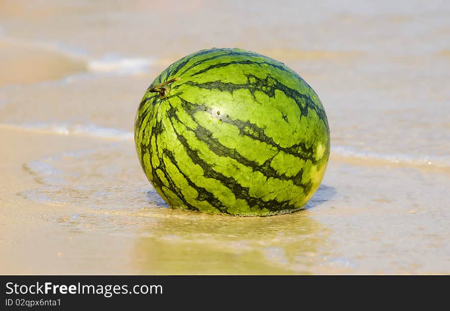 Watermelon on a sea coast