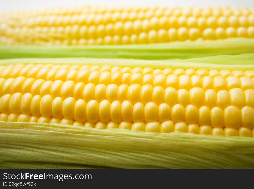 The corn on white