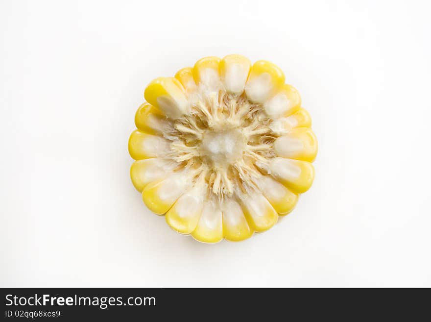 The  corn isolated on white. The  corn isolated on white