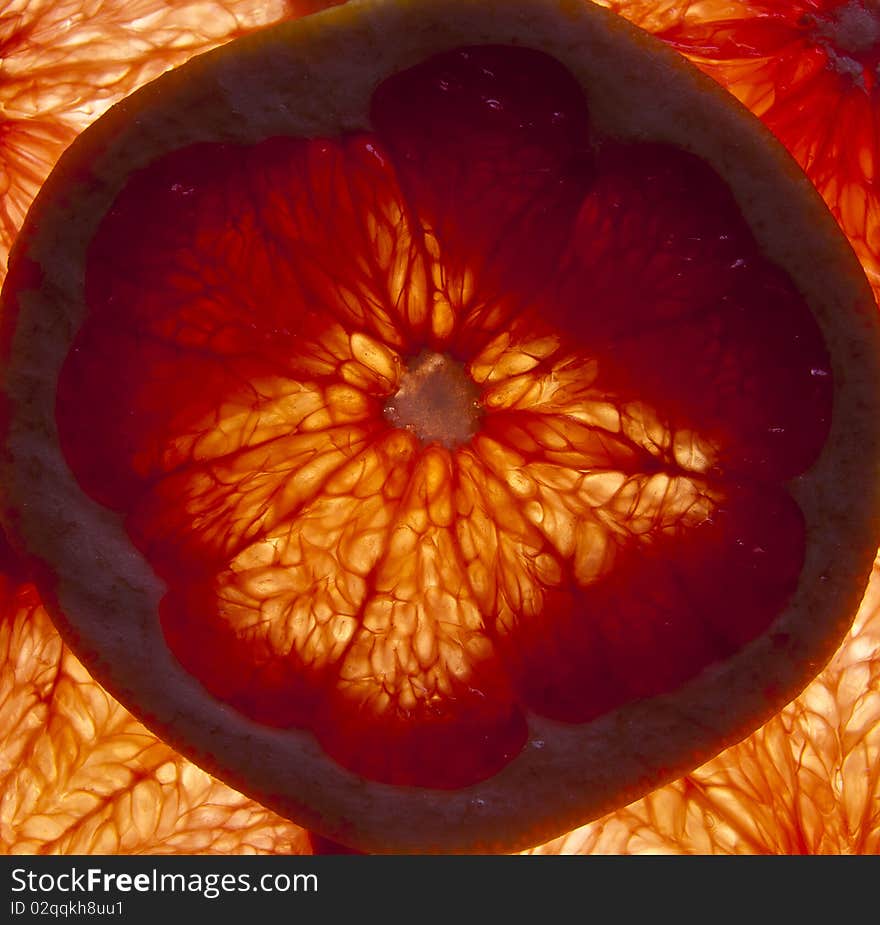 Single slice of red grapefruit over hard light. Single slice of red grapefruit over hard light