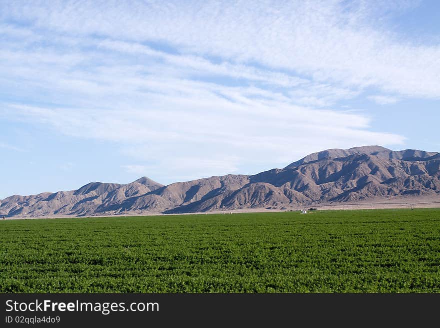 Farm land in southwestern USA. Farm land in southwestern USA