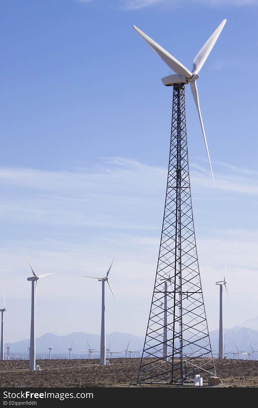 Wind turbines generating clean energy