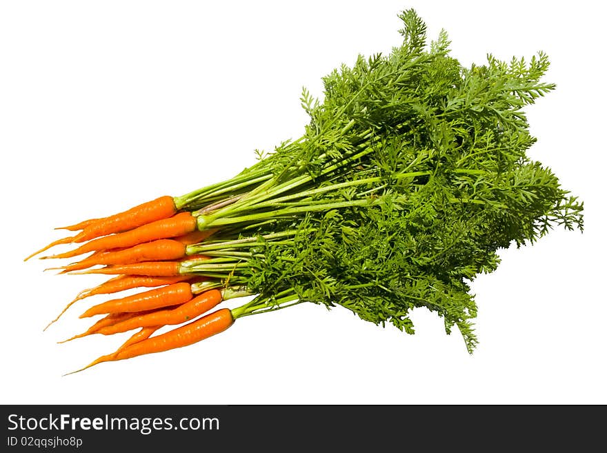 Fresh carrot fruits with green leaves.