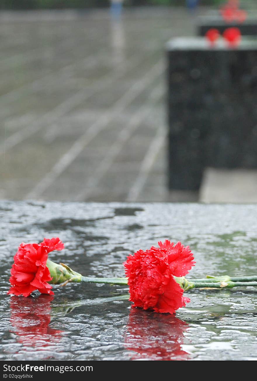 Red carnations on a black granite wet