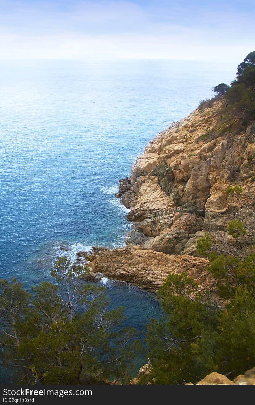 View of the sea cliff. View of the sea cliff