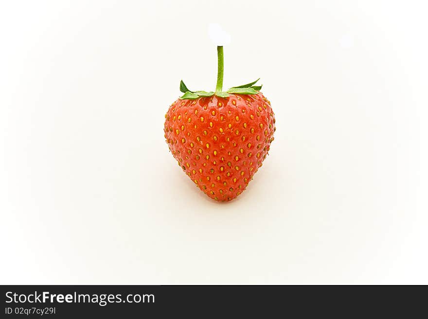 One strawberry in white backgound