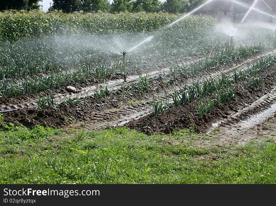 Crisis of the water in the countryside. Crisis of the water in the countryside