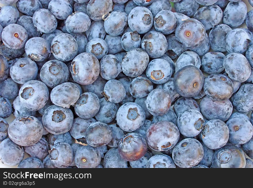 Fresh blueberries