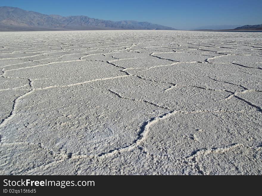 Salt polygons in Death Valley lake