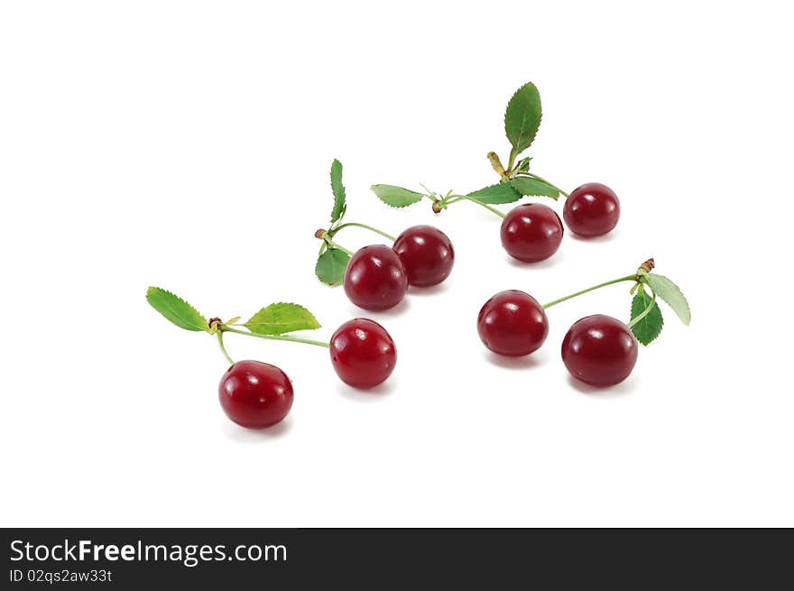 Ripe cherries isolated on white background. Ripe cherries isolated on white background