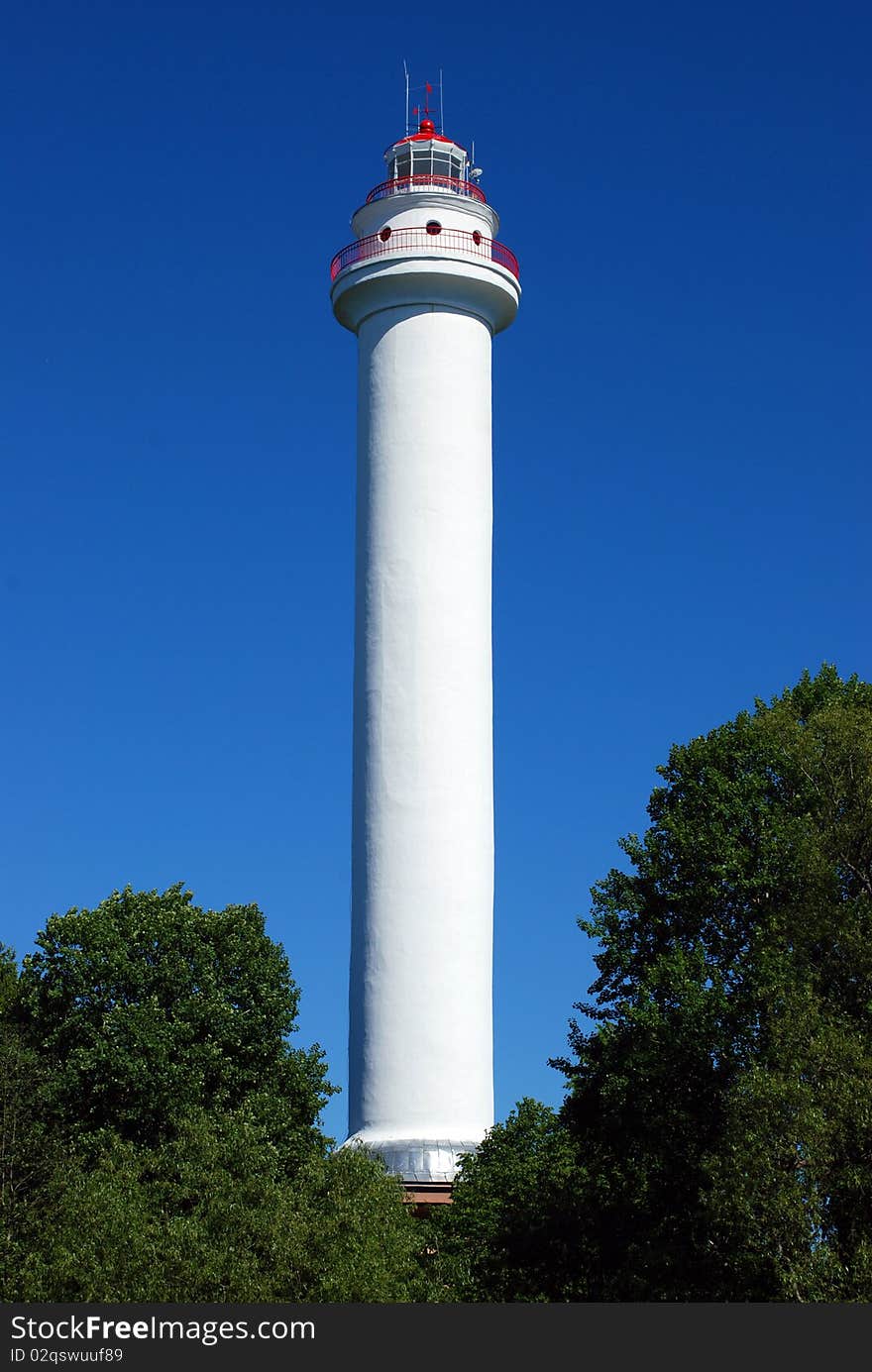 Light house in a forest near sea. Light house in a forest near sea