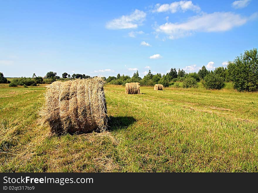 Hay in stack