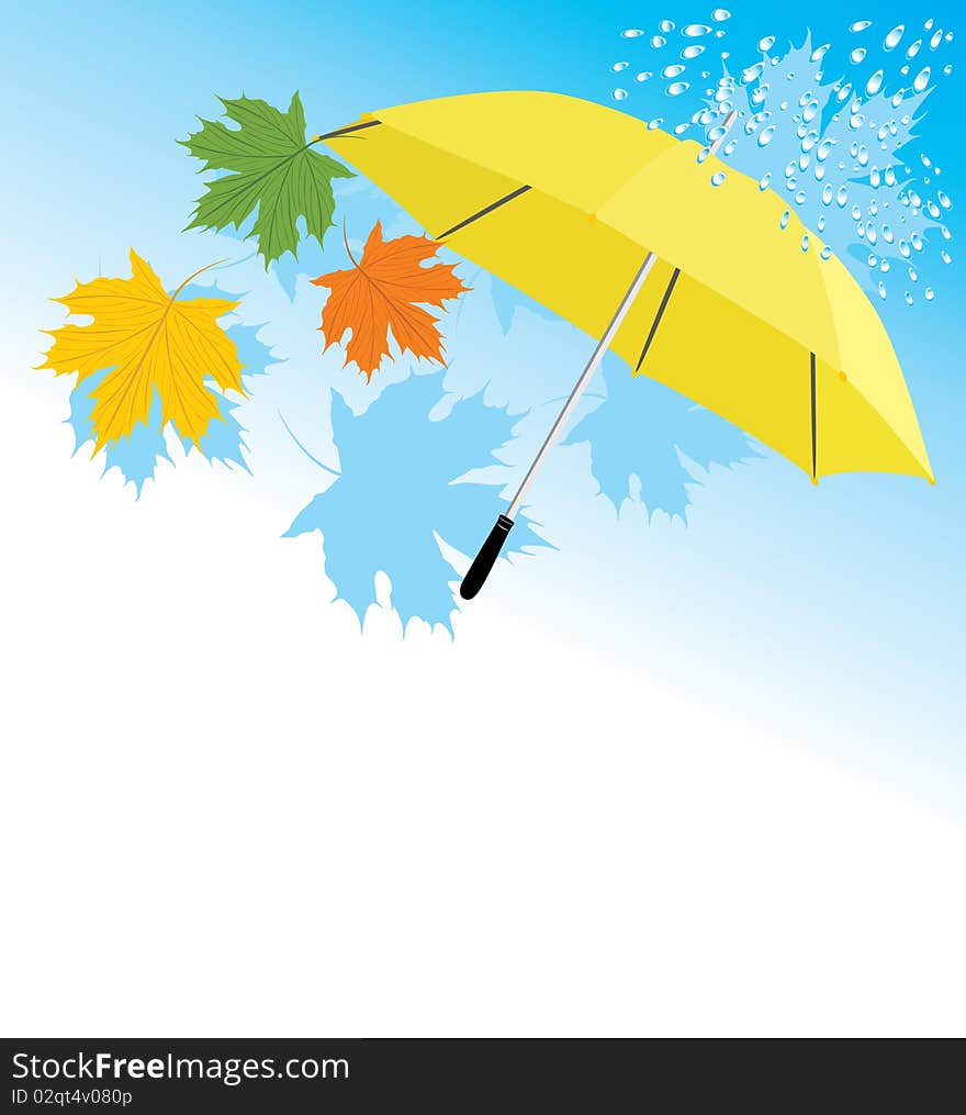 Yellow umbrella and maple leaves