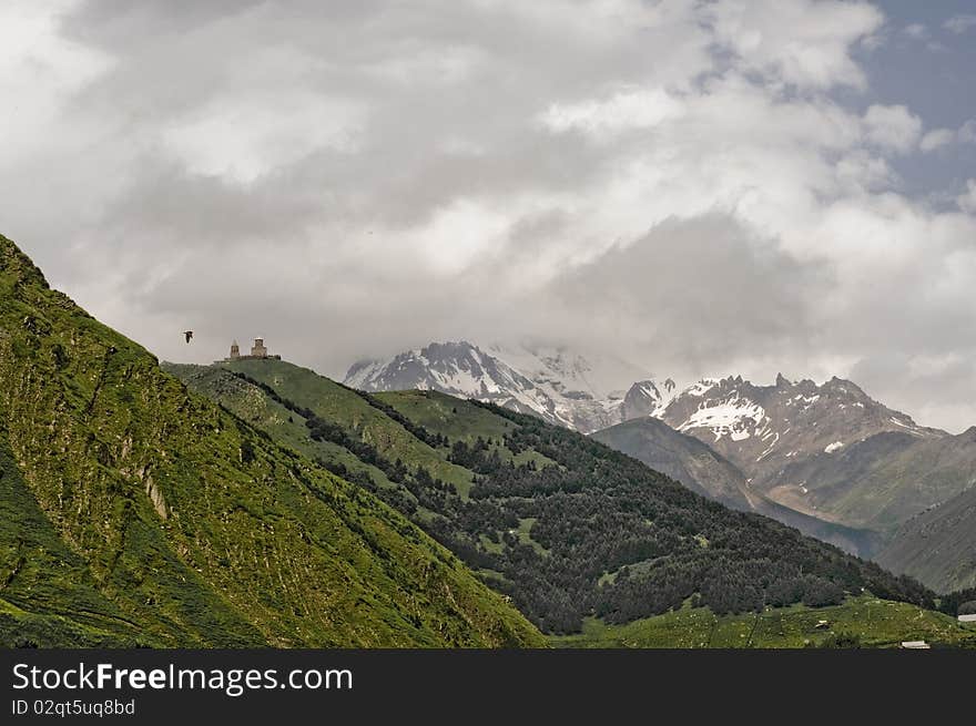 Eagle and mountains