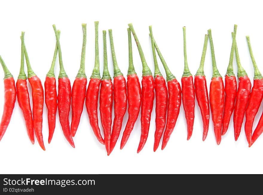 Red chili on white background