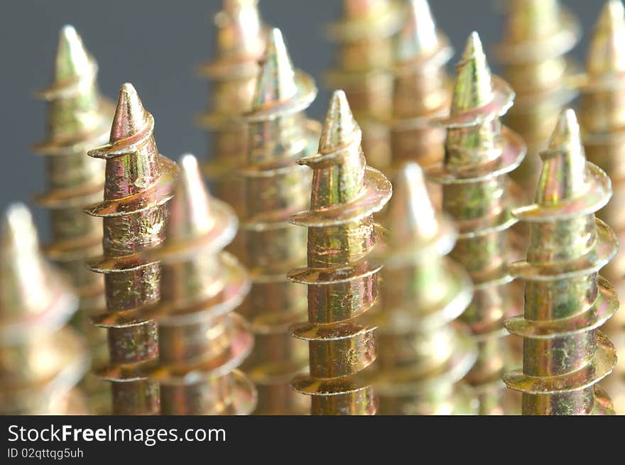 Macro of screws disposed in ordered fashion. Macro of screws disposed in ordered fashion