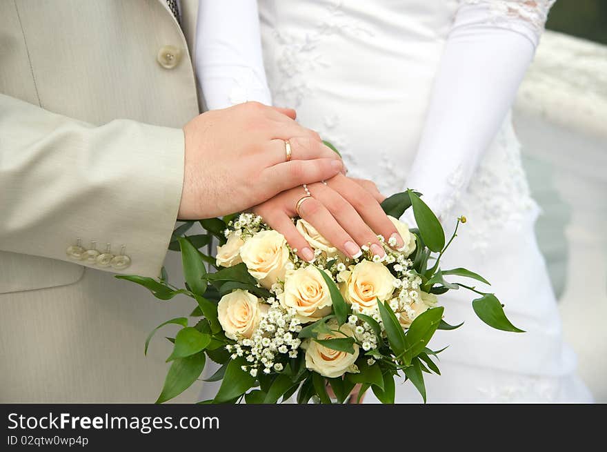 Bride and Groom's hands. Bride and Groom's hands