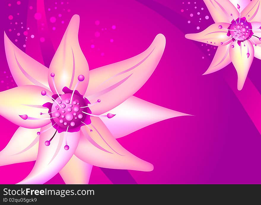 Pink background with beautiful flower illustration. Vector file available. Pink background with beautiful flower illustration. Vector file available.