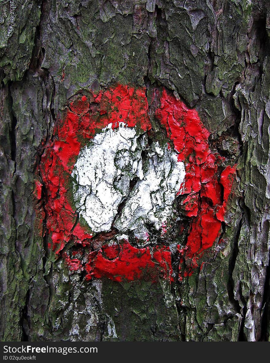 Trail marker, a detail seen on a tree while hiking