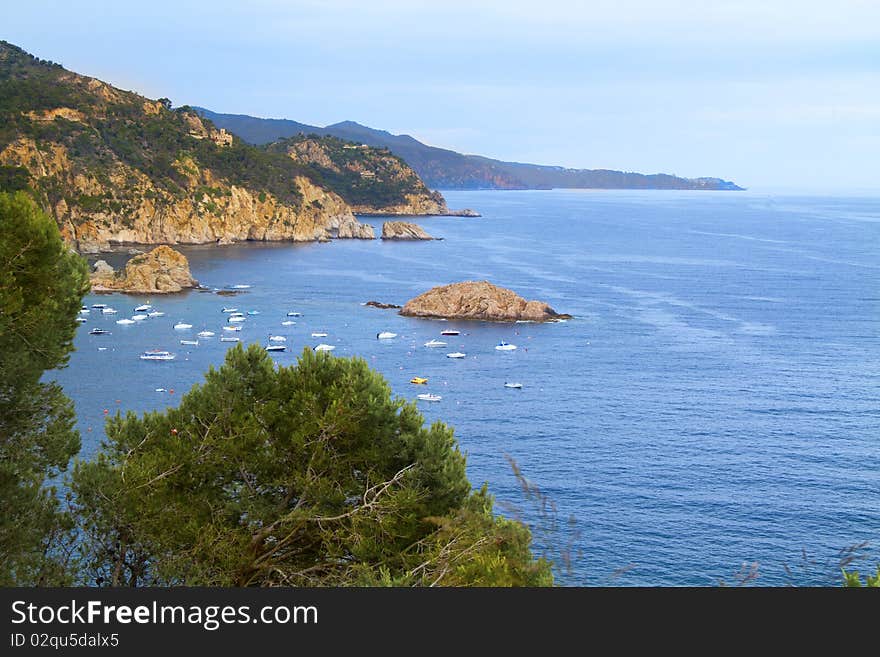 View of the sea cliff. View of the sea cliff