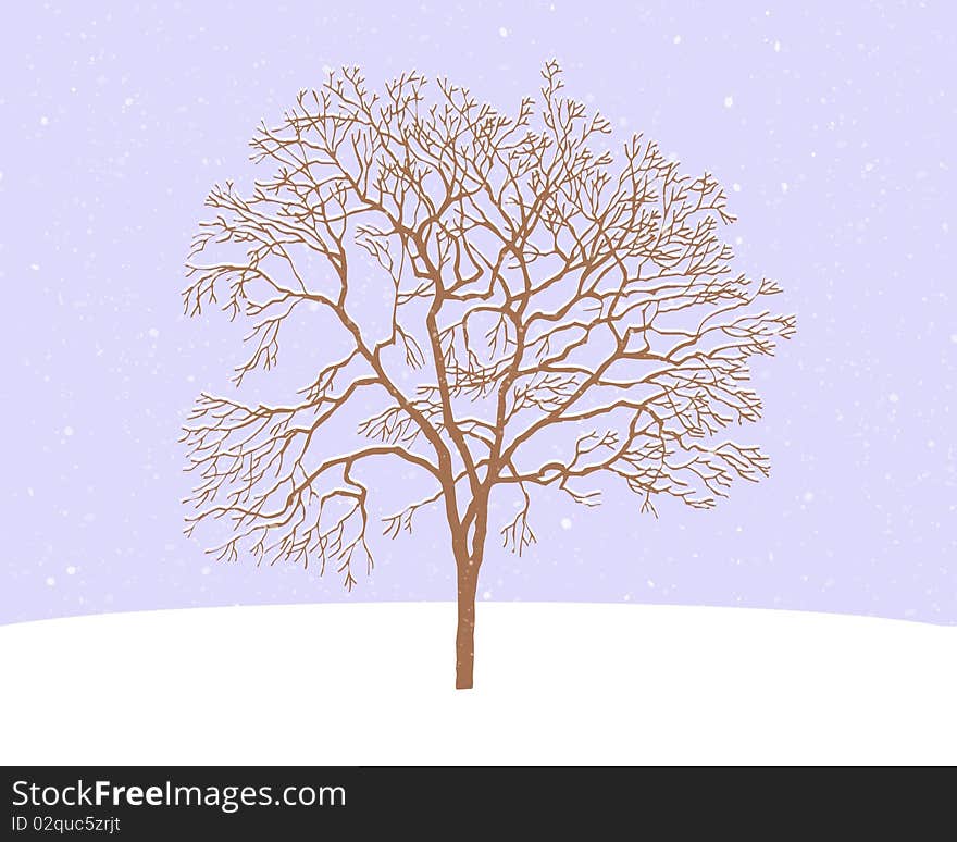 Tree in snow