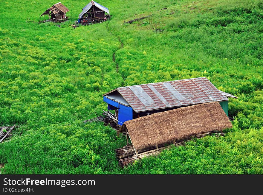 Houses or village in green field or meadows. Houses or village in green field or meadows