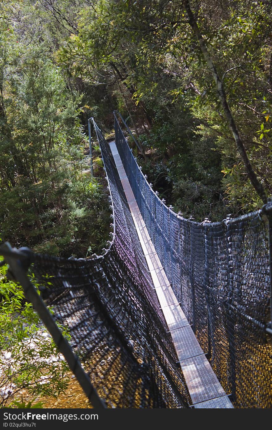 Suspension walkway crossing creek in dense forest. Suspension walkway crossing creek in dense forest