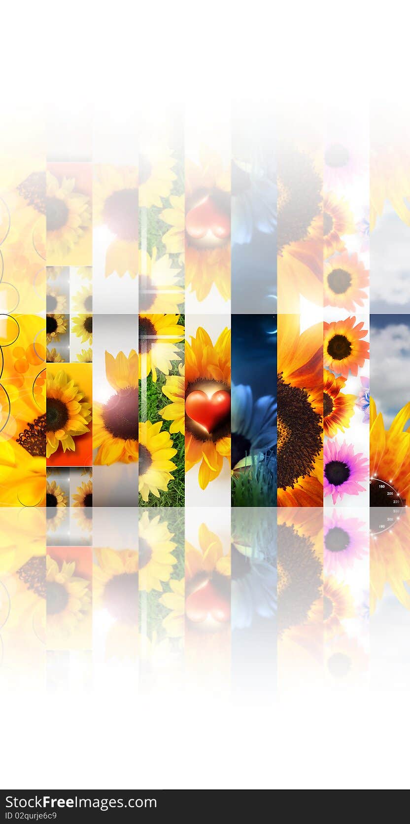 Sunflower collage