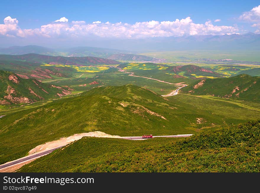 China Qinghai Flower Landscape