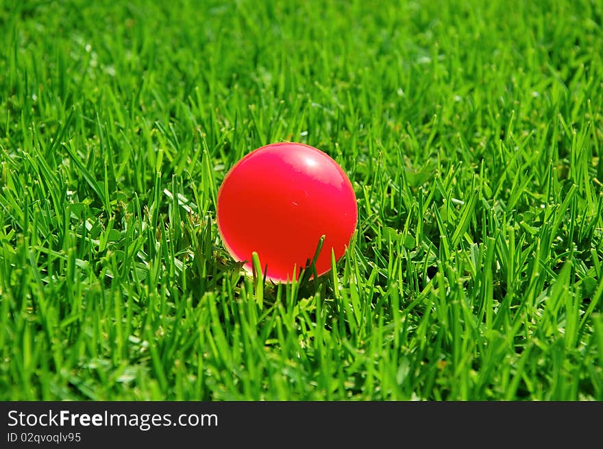 View of a cut grass and red ball. View of a cut grass and red ball