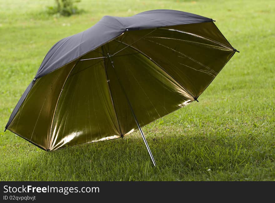 Studio photography black and gold reflecting umbrella on grass.