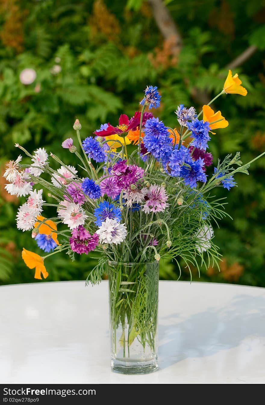 Bouquet of dark blue cornflowers