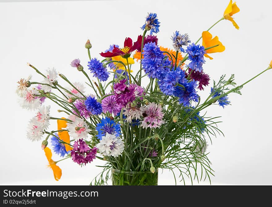 Bouquet Of Dark Blue Cornflowers