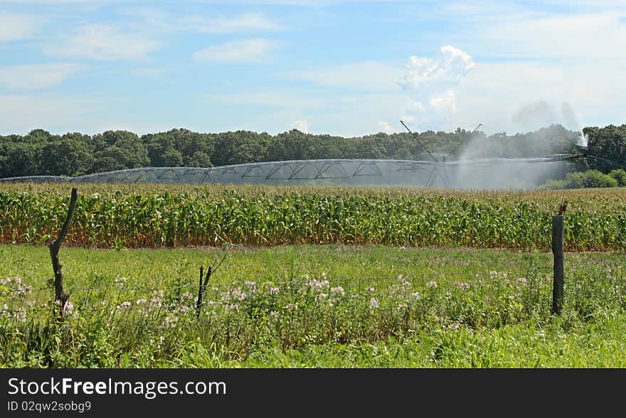 Irrigating a Corn Field