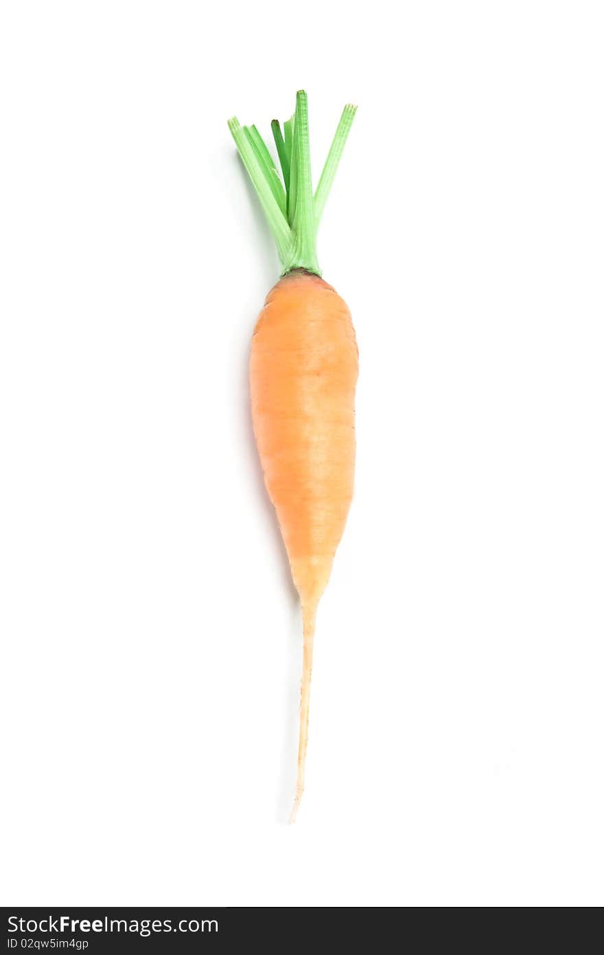 Fresh carrot charged on a white background