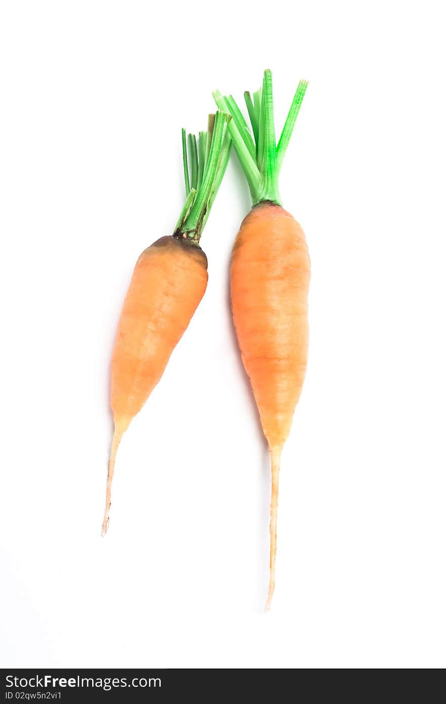 Fresh carrots