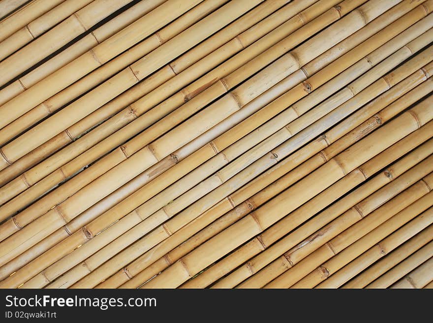 Wall Bamboo